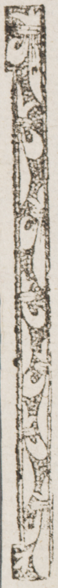32091-80.jpg
