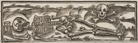 32204-10.jpg