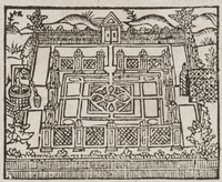 32221-10.jpg