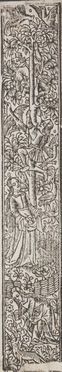 32223-60.jpg