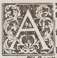 32349-10.jpg