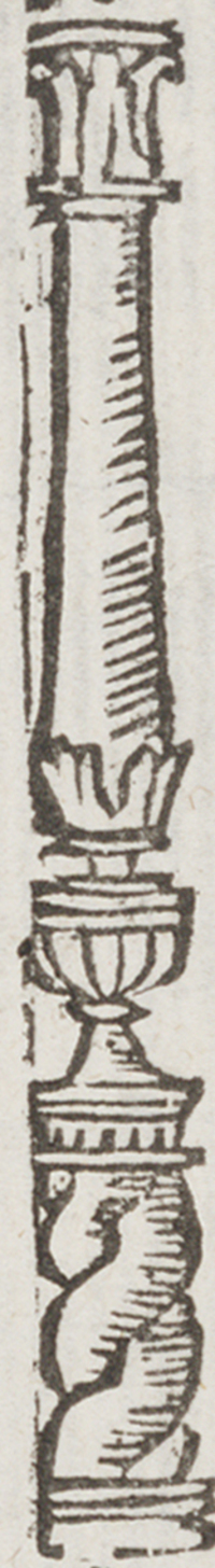 32403-100.jpg