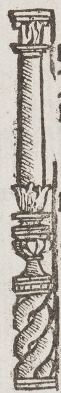 32403-120.jpg