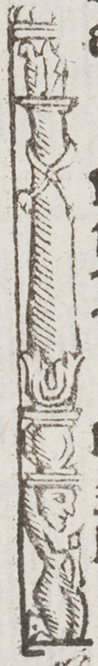 32403-130.jpg