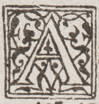 32403-20.jpg