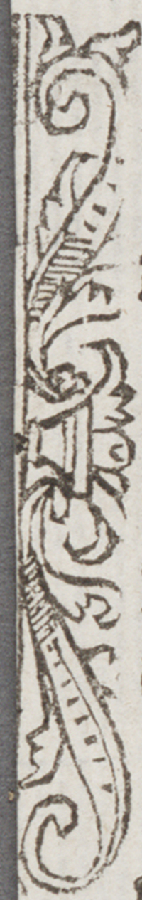 32403-50.jpg