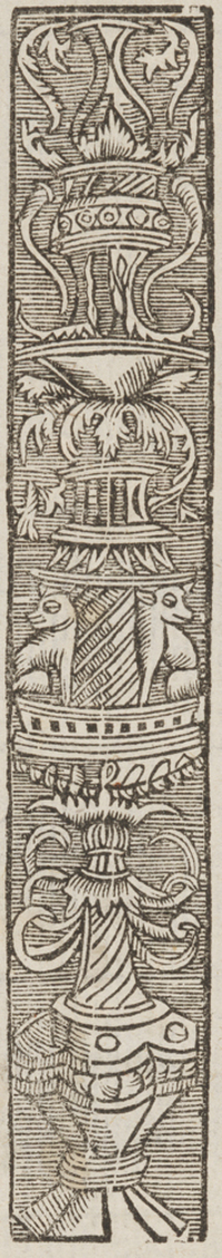 32411-30.jpg