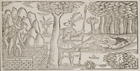 32458-10.jpg