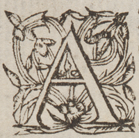32480-20.jpg