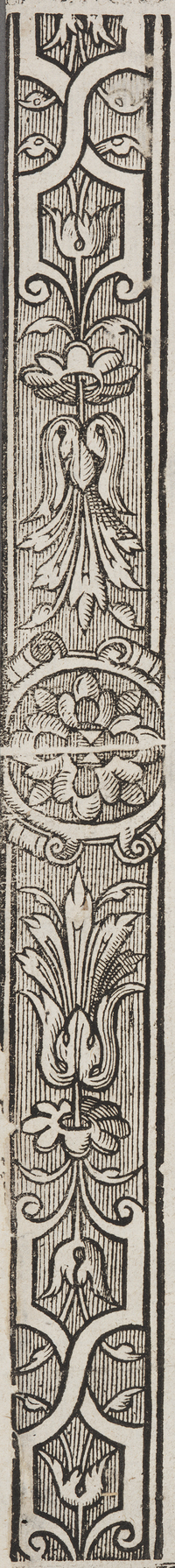 32484-10.jpg