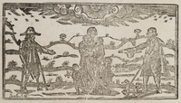 32493-10.jpg