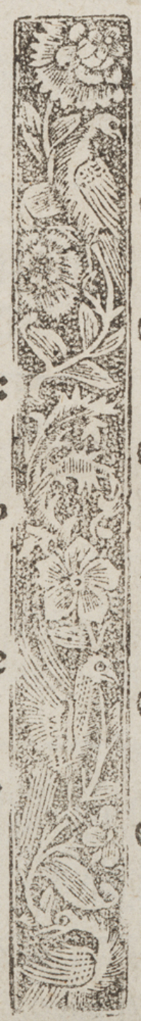 32523-100.jpg