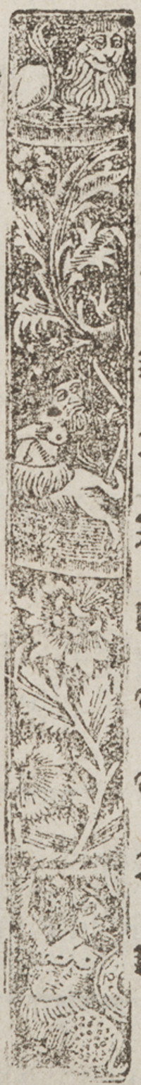 32523-110.jpg