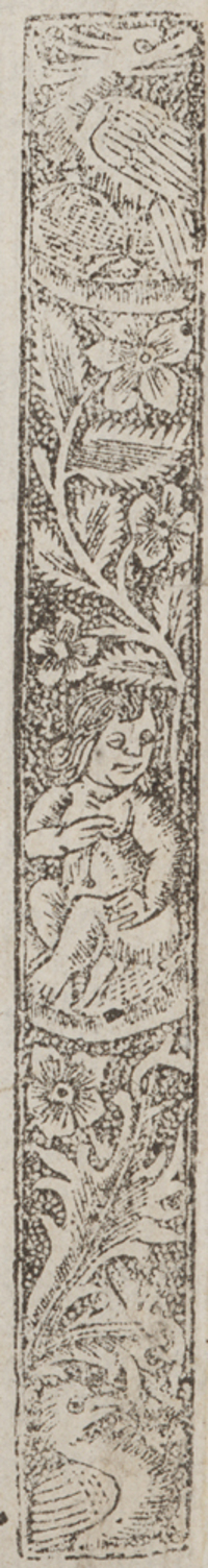 32523-120.jpg