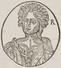 32529-20.jpg