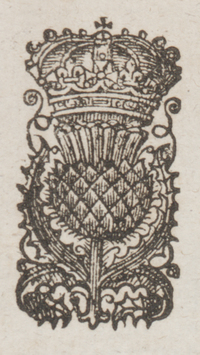 32557-10.jpg
