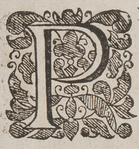 32578-10.jpg