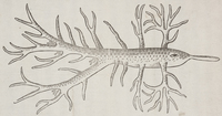 32599-10.jpg