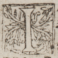 32624-10.jpg