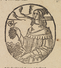 32644-20.jpg
