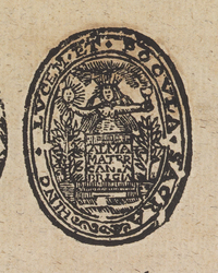32656-50.jpg