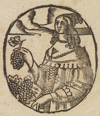 32670-20.jpg