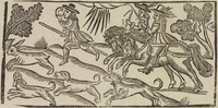 32675-10.jpg