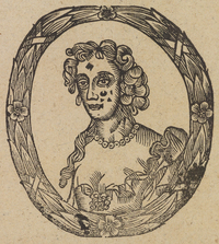 32733-20.jpg