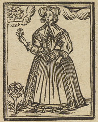 32761-20.jpg