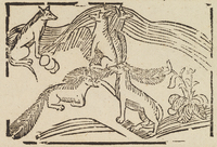 32771-10.jpg