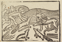 32771-20.jpg