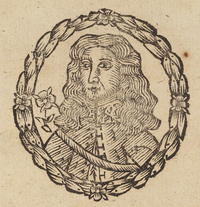 32778-10.jpg