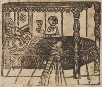 32798-20.jpg