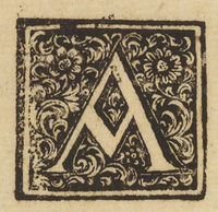 32811-10.jpg