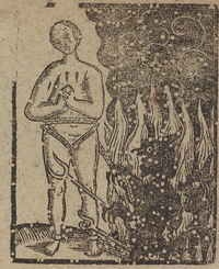 32839-20.jpg
