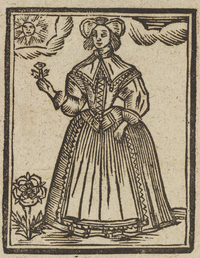 32873-20.jpg