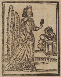 32885-10.jpg