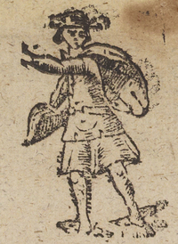 32904-60.jpg