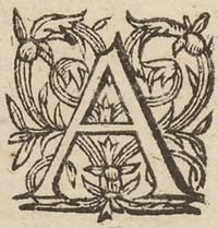 32945-10.jpg