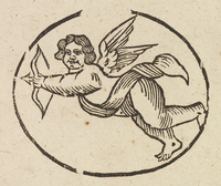 32960-20.jpg