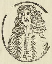 32977-20.jpg