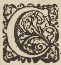 33068-10.jpg