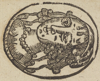 33119-20.jpg