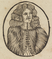 33162-30.jpg