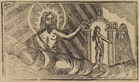 33207-10.jpg