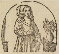 33236-40.jpg