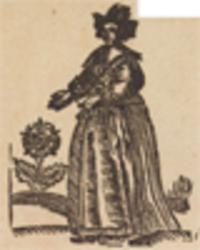 33266-40.jpg