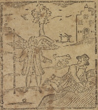 33278-20.jpg