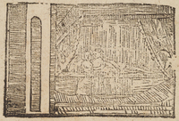 33281-10.jpg