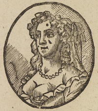 33290-20.jpg